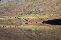 DSC00059