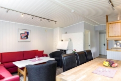 vinjebu2015-stue2_1800